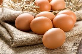 Organic Eggs